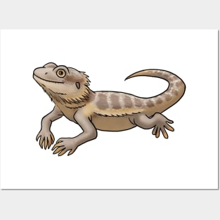 Reptile - Bearded Dragon Posters and Art